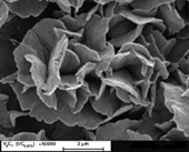 ������������� ������� �������, ������� �� �������������� ���� (������������, ���� ��� ���). 