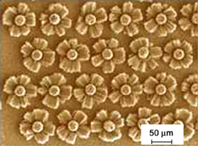 ��� �� �������, � ������������� �� ���������� ������ ���������� ���������� (USA, Rensselaer Polytechnic Institute).