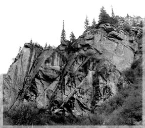 ���� �.��������.