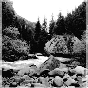 ���� �.��������.