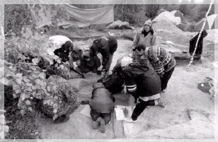 ������������ �������.