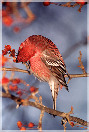 ���� �.�.�����.