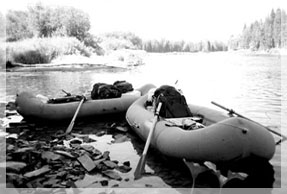 ������� ����� - 2003.