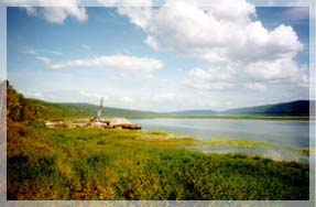 C���� ������������� ����� ��������������� �����-�������� �� ������.