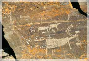 �.�. ��������. ���������� ���� ���������.