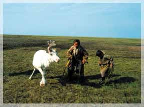 �.�. ��������.  ���������� �����.