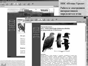 �������������-��������� ������� "���������".