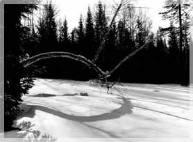 ���� �. ��������.