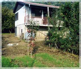 "�����", � ������� ��� �����. ���� �. �������.