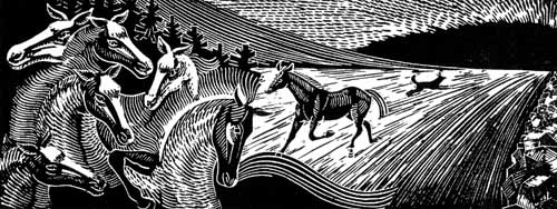 �. ������������. ������ ������.