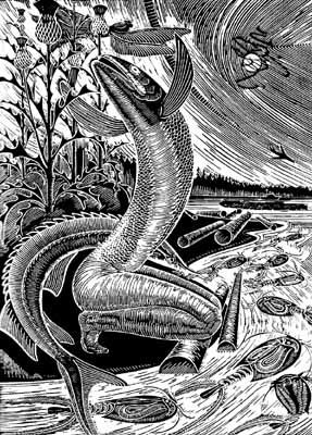 �. ������������. ������ �� ������.