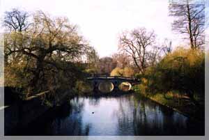 ���� ���. ���� �. �������.