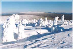 �. ���������. �������� ����. �������� ����.