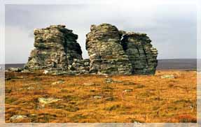 ������������ ������� �������. �������.