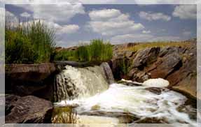 ������������ ������� �������. �������.