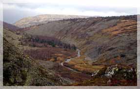 ������������ ������� �������. ������.