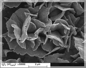 �������������� �������������������� ������� ������� ���������� �������� ����.