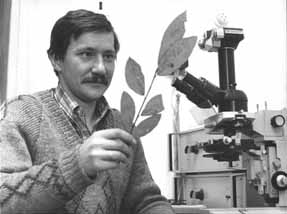 ������ ���������� �����������.