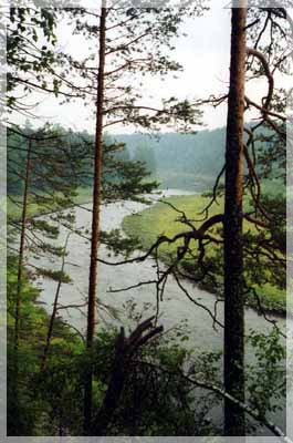 ���� ������� ����, ��� � ����������� �����.