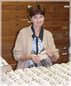 ������� �.�. ��������� �� �������� � ����������� ������������������� ���������.