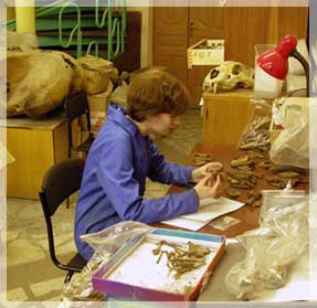 ������� ������� �.�. ������ ��������� �� �������� ����� ���������.