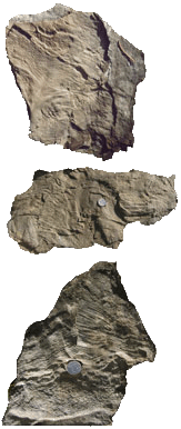 ��� �������� �������� ��������������� �� ������������ ������������� ����� ���������� �����.