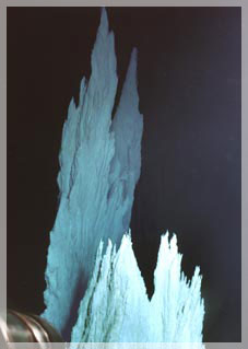 ������������� ������� ����������� ����� ���� ����.