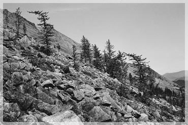 ���� �.�. �������.