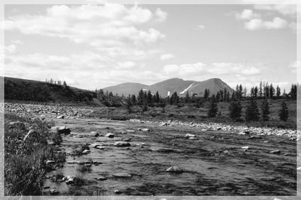 ���� �.�. �������.