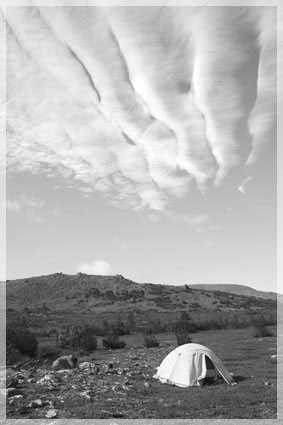 ���� �.�. �������.