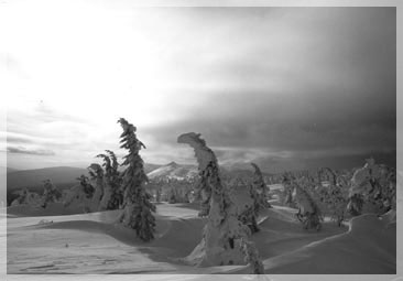 ���� �.�. ����������.