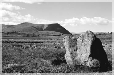 ���� �.�. �������.