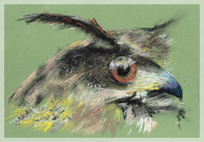 �. ��������. ����������� ������.