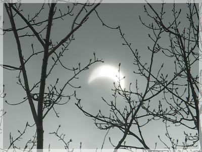 ���� �.�. ��������.