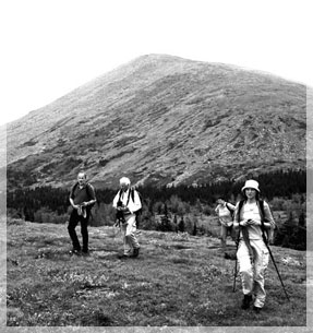 ������� ��������� ���������� ����������� �� ������ ������� (����� ����).