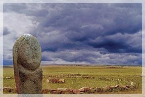 ���� �. ����������.