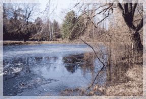 ������� ���� � ������������ ���� ��� ���.