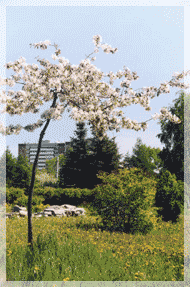 ������� ���� � ������������ ���� ��� ���.