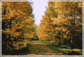 ������� ���� � ������������ ���� ��� ���.