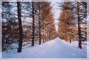 ������� ���� � ������������ ���� ��� ���.