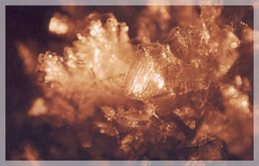 ������� ��������� � ������ ����� �� ����� �����. ���� �. ��������.