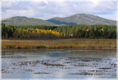 ������� ����.