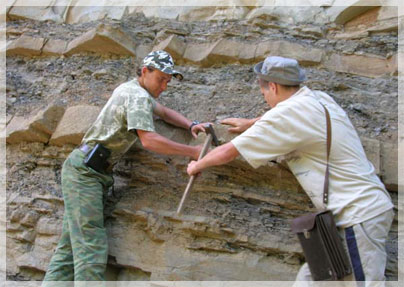 ������������� �������� � �����.