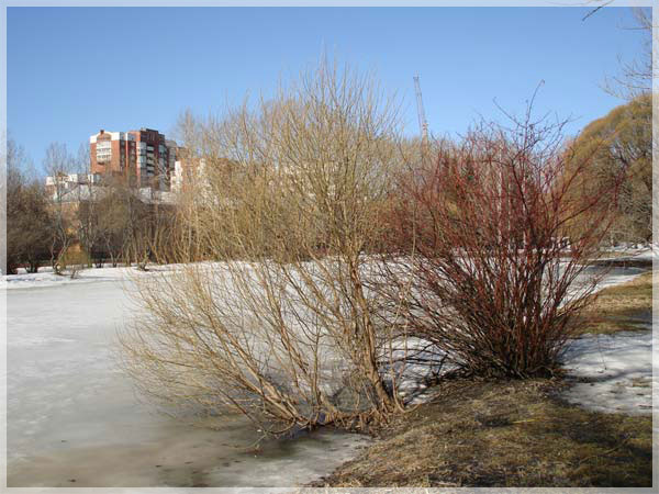 �������� ��������.