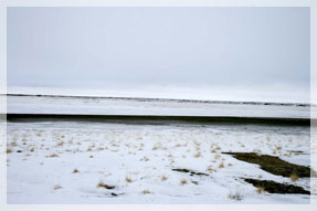 ����� ������� ����������. ���� �. �����������.