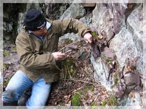 �� ������: ���������� ������������ �������� ������������� ���� � ������������� ��������� ������ ����� �.�. ������ �������� ��������������� ������� ��������� ���������� ��� ��������������� ��������.