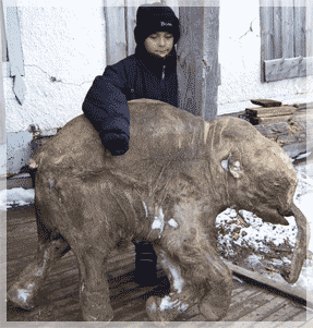 ���������� ������� �����.