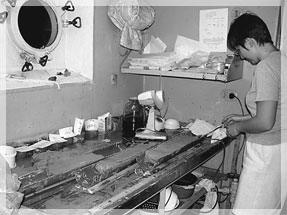 ������� � �������� ���������� ������������ � ��������� ���������� ����.