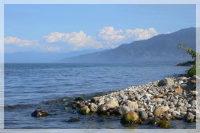 ����� ������. ���� �. ���������.