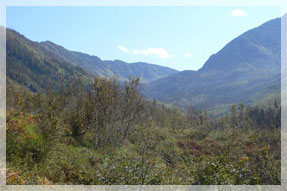 ����� ��� ������ �����-����� (1700 � ��� ��. �.) � ��������� ���� ������� ����� (1200 � ��� ��. �.). ���� �. ���������.